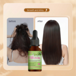 Rosemary Essence Oil